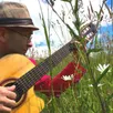 photo c’est dans les prairies ornaises que poussent les chansons de cyrarno du patelin !