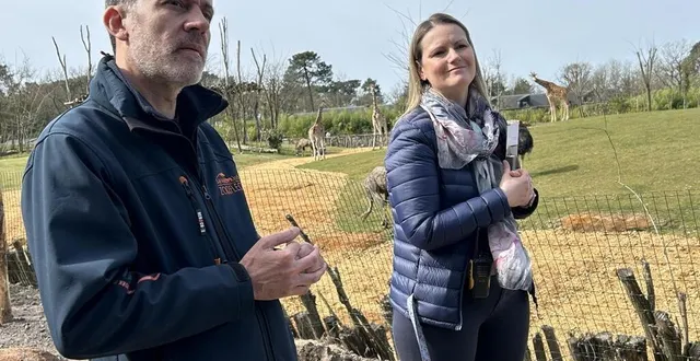 photo  cyril hue, vétérinaire, et céline talineau, directrice du zoo de la flèche (sarthe), ont présenté les nouveautés du parc, accessibles au public au mois de juin prochain.  &copy;  ouest-france 