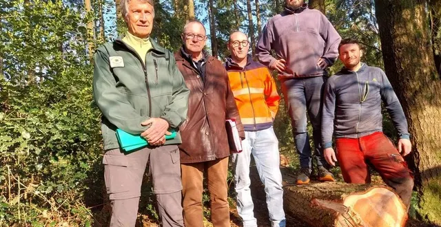 photo  christian clément, conseiller en gestion forestière ; jean-françois belliard, conseiller municipal délégué à l’environnement ; bruno brevet, responsable des espaces verts ; benjamin billet, marchand de bois et florian renouf, bûcheron.  &copy;  ouest-france 