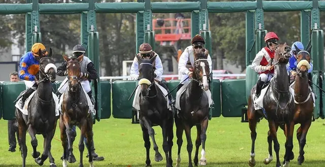 photo  sept courses sont au programme à l’hippodrome ce vendredi.  &copy;  archives le maine libre - yvon loué 