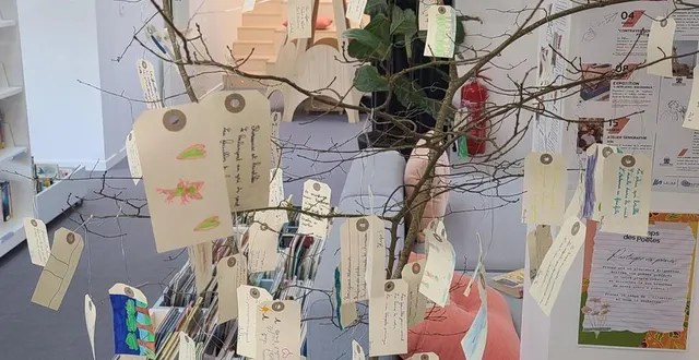 photo  les haïkus des cours moyens d’armand-brousse.  &copy;  co 