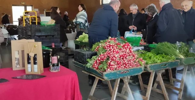 photo  les radis du maraîcher lucéen florian seront en vente.  &copy;  le maine libre 