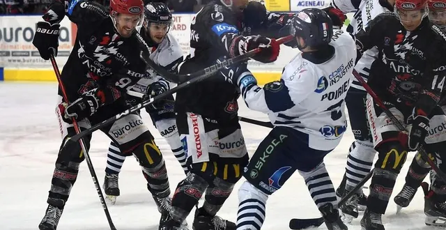 photo  kylian fauvel (à gauche) joue régulièrement avec les dogs.  &copy;  co – etienne lizambard 