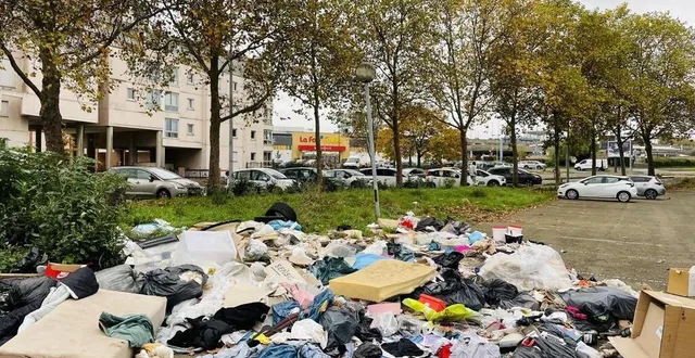 photo  en novembre 2024, près de 500 kilos de déchets s’amoncelaient sur le parking de l’ancien magasin action, au sud de la ville.  &copy;  le maine libre 