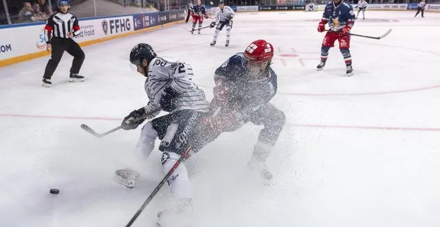 photo  le duel entre angevins et grenoblois promet d’être intense. comme lors de la finale de la coupe de france.  &copy;  mathieu pattier / ouest france 