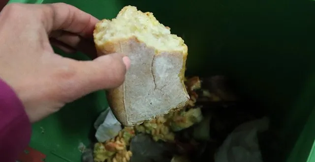 photo  du 24 avril au 12 juin, des réunions sur le compostage seront organisées.  &copy;  sud est manceau 