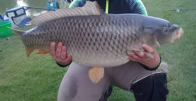 photo  théo a toujours aimé pêcher.  &copy;  théo desoeuvre 