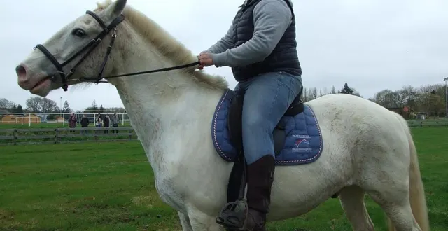photo  le capitaine alexis tabareau et son cheval asly, lors de l’entraînement à la fête des lances, dimanche 30 mars 2025.  &copy;  ouest-france 