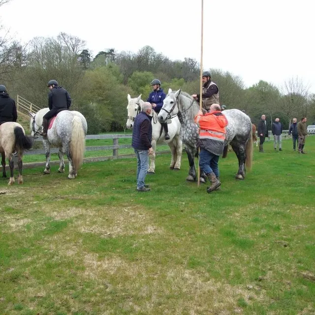 photo les cavaliers et leur monture s’entraînaient, avant le grand jour.  ©  ouest-france