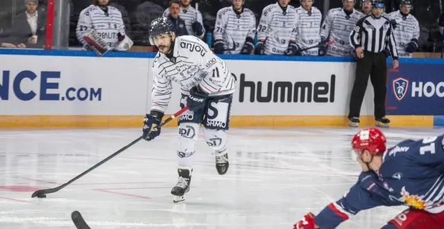 photo  les angevins vont-ils réussir à faire plier grenoble en finale ?  &copy;  mathieu pattier/ouest-france 