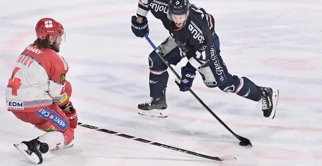 photo  philippe halley et les ducs ont chuté une nouvelle fois face à grenoble.  &copy;  sébastien aubinaud 