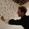 photo  beaufort, le 1er avril 2025. l’artiste plasticien justin palermo, en pleine installation de l’une de ses œuvres végétales au musée joseph-denais. 