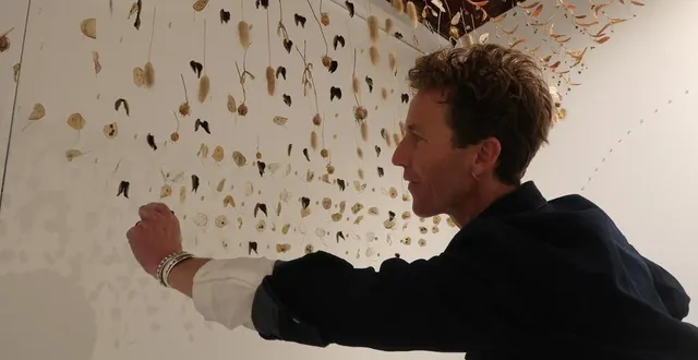 photo  beaufort, le 1er avril 2025. l’artiste plasticien justin palermo, en pleine installation de l’une de ses œuvres végétales au musée joseph-denais.  &copy;  co - agathe le nueff 