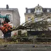 photo  en novembre 2024, 200 arbres ont été retirés de l’avenue bollée, malgré des mouvements de contestations. 