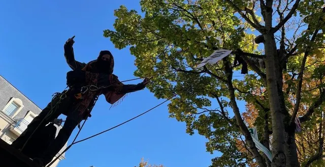 photo  juché sur un abri de bus, « le chat », comme il se faisait aussi appeler, s’est installé à huit mètres de haut, dans un des arbres de l’avenue bollée, pour protester contre leur abattage, fin 2024 au mans (sarthe).  &copy;  archives ouest-france 