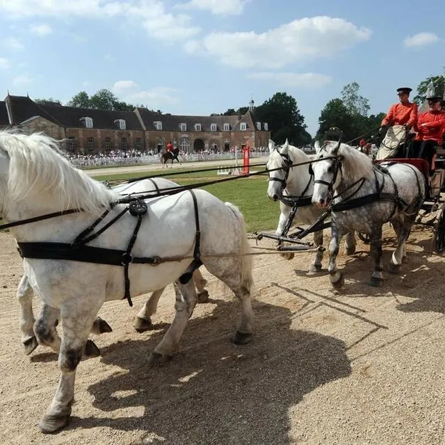 photo les jeudis du pin sont une magnifique occasion de découvrir le haras du pin.  ©  ouest france archives