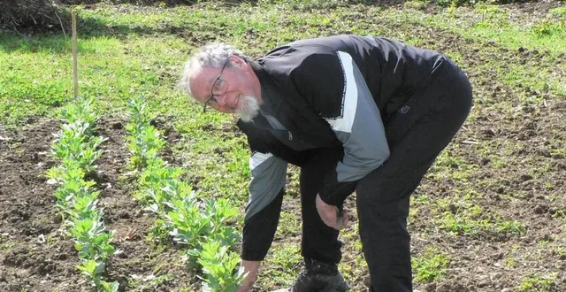 photo  avec le groupe de bénévoles, joël péant, président des familles rurales, a déjà semé des fèves qui ont bien levé.  &copy;  ouest-france 