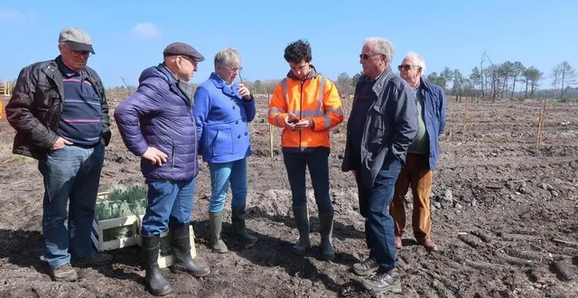 photo  baugé-en-anjou, commune déléguée de clefs, le 27 mars 2025. l’entreprise naudet, chargée du chantier de reboisement, rencontre les propriétaires dont les parcelles vont être replantées.  &copy;  co - agathe le nueff 