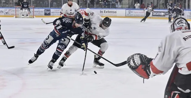 photo  matt wilkins et les ducs d’angers n’ont d’autres choix que de gagner, ce samedi soir à grenoble.  &copy;  sébastien aubinaud 