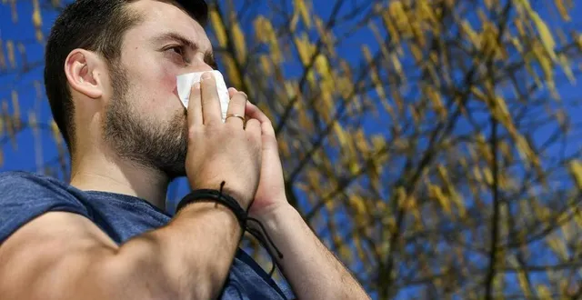 photo  le nez qui coule, la gorge qui gratte… pas de doute : les pollens sont de retour.  &copy;  archives le maine libre - denis lambert 