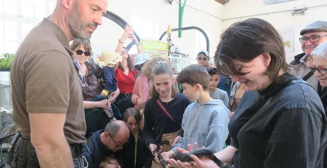 photo  après un moment d’appréhension, le public a sympathisé avec la couleuvre amour.  &copy;  ouest-france 
