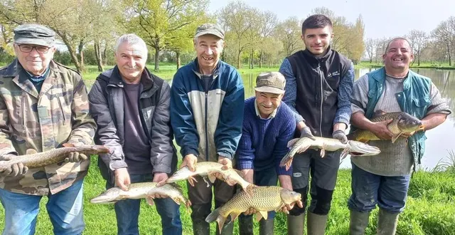 photo  un alevinage important a été fait, samedi, dans les étangs de la route de challain.  &copy;  ouest-france 