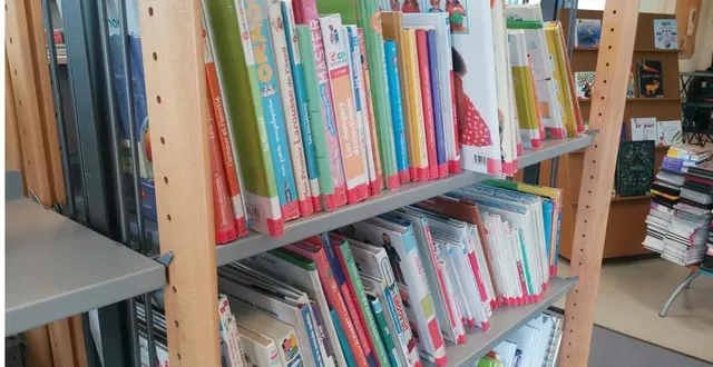 photo  4 700 livres, magazines ou cd seront proposés à partir de 0,50 €.  &copy;  ouest-france 