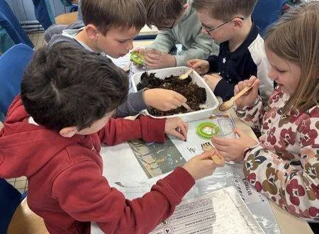 photo  les élèves de l’école saint-louis ont pu chercher et observer les différents insectes contenus dans un compost.  &copy;  école saint-louis 