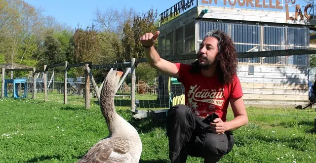 photo  au milieu des animaux, harold périer, le co-gérant de la tourelle du lac, à la tessoualle, a créé une guinguette « à son image ».  &copy;  ouest-france 