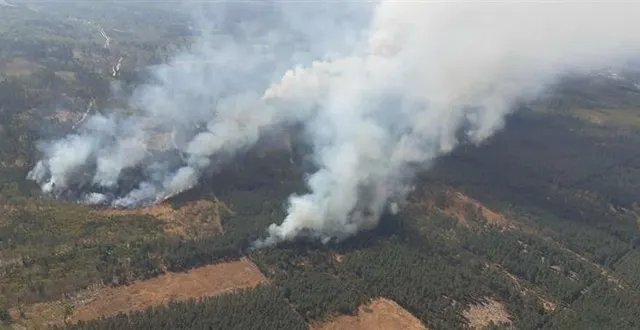 photo  déjà 55 hectares sont partis en fumée à la breille-les-pins ce jeudi 10 avril dans un important feu de forêt qui touche le maine-et-loire et l’indre-et-loire.  &copy;  document remis 