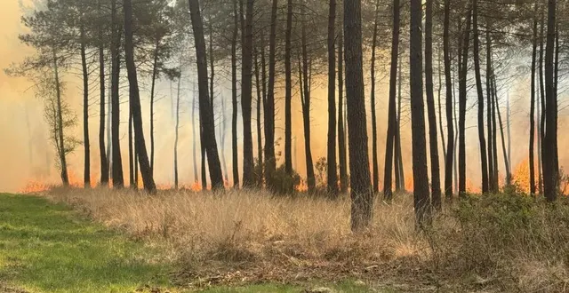 photo  les sapeurs-pompiers luttent contre l'incendie depuis environ 10 heures ce jeudi 10 avril.  &copy;  co 