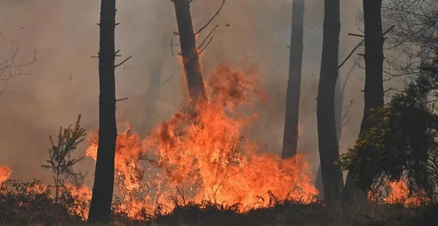 photo  un important incendie touche la forêt communale de la breille-les-pins (maine-et-loire) ce jeudi 10 avril 2025.  &copy;  jérôme fouquet / ouest-france 
