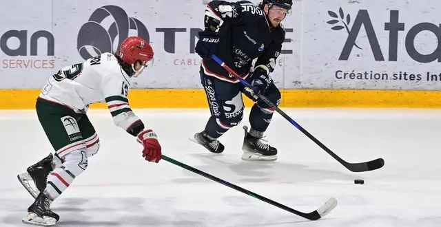 photo  matt wilkins quitte les ducs d’angers après une saison.  &copy;  sébastien aubinaud 