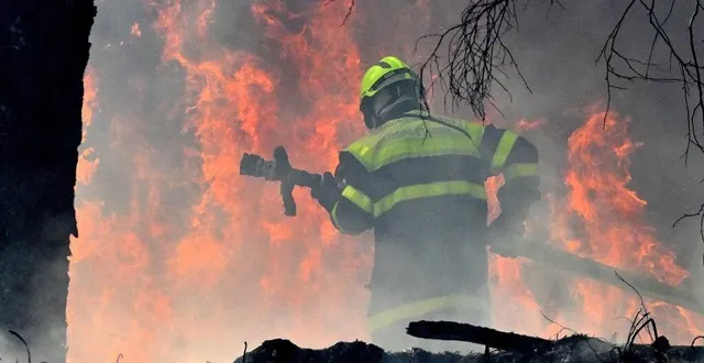 photo  un incendie touche la forêt communale de la breille-les-pins (maine-et-loire), ce jeudi 10 avril 2025.  &copy;  jérôme fouquet/ouest-france 