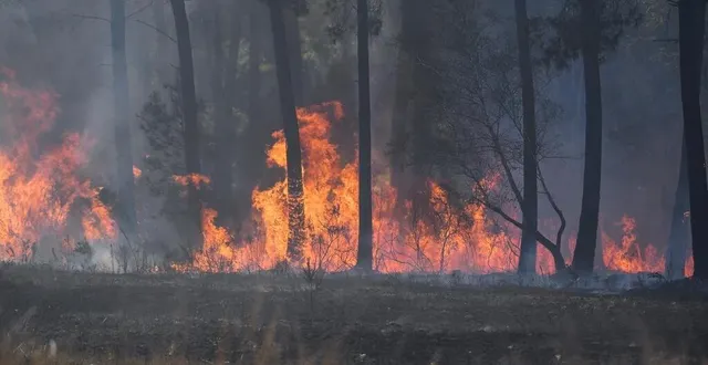 photo  après avoir détruit 100 hectares de forêt, l’incendie qui s’est déclaré à la breille-les-pins jeudi matin 10 avril, près de saumur, à la frontière du maine-et-loire et de l’indre-et-loire, a été fixé dans la nuit de jeudi à vendredi.  &copy;  photo co - josselin clair 