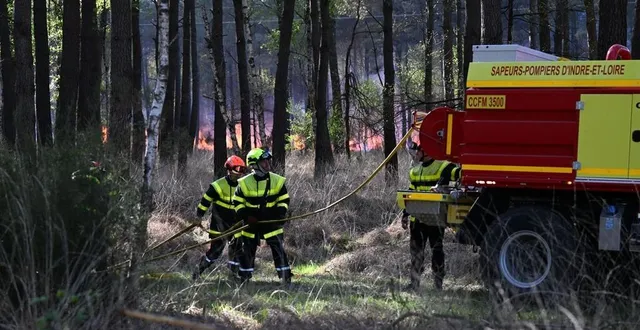 photo  les pompiers ne chôment pas à la breille-les-pins, près de saumur, pour venir à bout de l’incendie qui ravage la forêt depuis jeudi matin 10 avril.  &copy;  photo co - josselin clair 