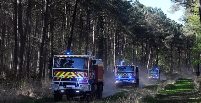 photo  plus de 200 sapeurs-pompiers ont été mobilisés, jeudi 11 avril, pour lutter contre les flammes, en maine-et-loire.  &copy;  jérôme fouquet/ouest-france 