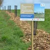 photo c’est la huitième année que le parc normandie-maine mène une campagne de plantation de haies.