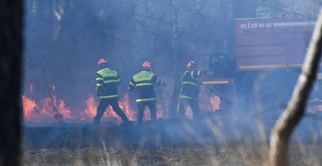 photo  une voiture incendiée est à l’origine de l’incendie qui a détruit les 100 hectares de la forêt de la breille-les-pins, près de saumur dans le maine-et-loire.  &copy;  photo co - josselin clair 