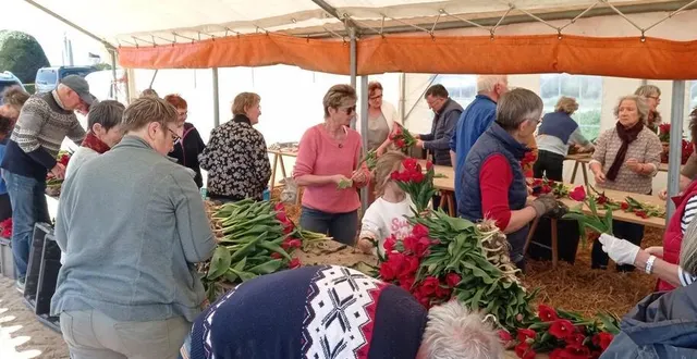 photo  beaucoup de monde, lundi 7 avril 2025, sous le chapiteau, à l’assemblage des tulipes pour la fabrication de bouquets.  &copy;  ouest-france 