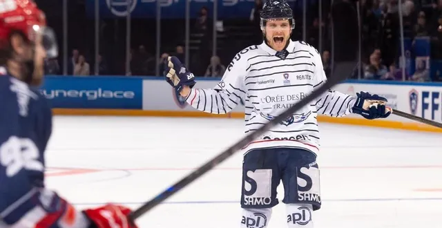 photo  sami tavernier est courtisé.  &copy;  photo co - régine lemarchand 