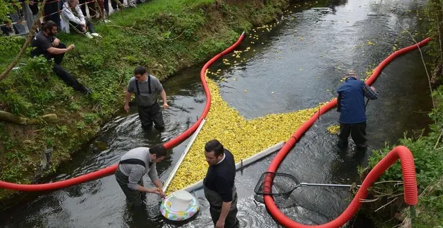 photo  samedi 12 avril 2025, à l’aigle (orne), près de 7 000 canards en plastique ont été lâchés dans la risle, pour une arrivée à hauteur de la médiathèque.  &copy;  ouest-france 