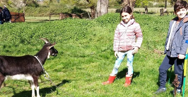 photo  ils ont rencontré une petite chèvre qui ne rêve pas de partir à la montagne comme la chèvre de monsieur seguin. un peu de crainte de la part des jeunes, qui vont cependant faire connaissance avec cette gentille bête malgré les petites cornes pointues.  &copy;  co 