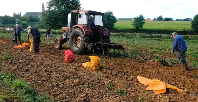photo  une pollution a été détectée sur le loir, selon un communiqué de la préfecture de ce mardi 15 avril 2025.  &copy;  archives le courrier de l’ouest 