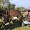 photo  joël et monique mahé prennent soin de près de 200 animaux dans leur ferme refuge de la baronnière. au second plan, nazca, qui aura besoin d’une bonne séance de tondeuse dès que la météo le permettra. 