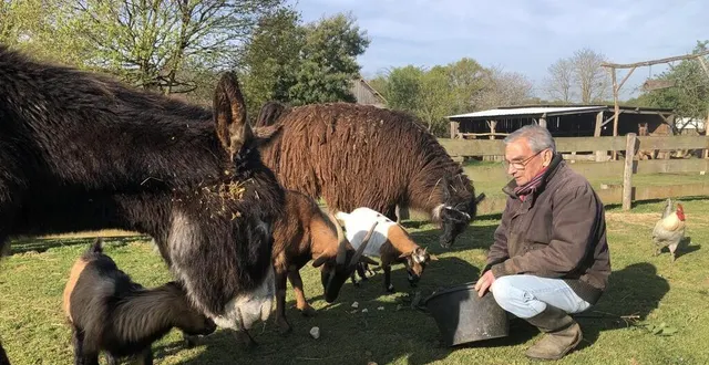 photo  joël et monique mahé prennent soin de près de 200 animaux dans leur ferme refuge de la baronnière. au second plan, nazca, qui aura besoin d’une bonne séance de tondeuse dès que la météo le permettra.  &copy;  le maine libre 