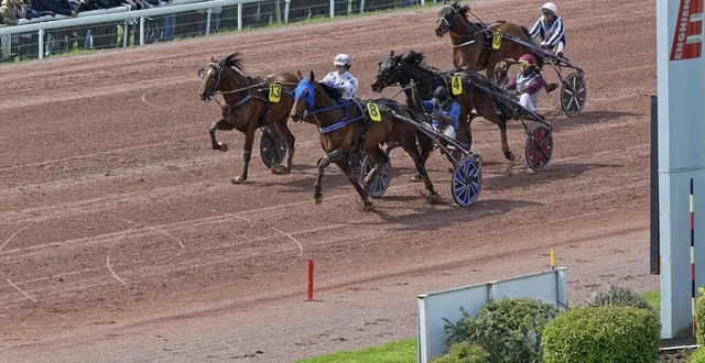 photo  en 2023, étonnant avait devancé gon on boy et hohneck dans ce même prix de l’atlantique.  &copy;  le trot 