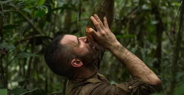 photo  l’explorateur damien lecouvey présentera ses techniques pour survivre dans la jungle tropicale.  &copy;  dominique granger 