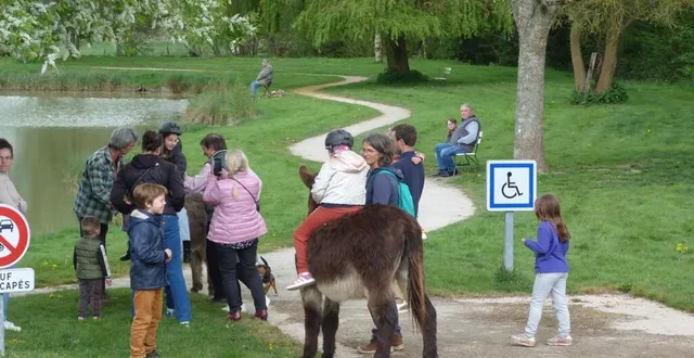 photo  les enfants étaient curieux de voir les ânes et des promenades ont eu lieu tout au long de la journée.  &copy;  ouest-france 