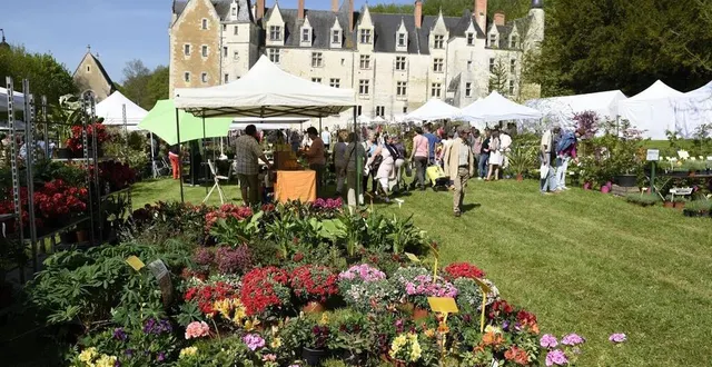 photo  ce week-end marque le retour de la fête des plantes au château de courtanvaux.  &copy;  archives le maine libre 